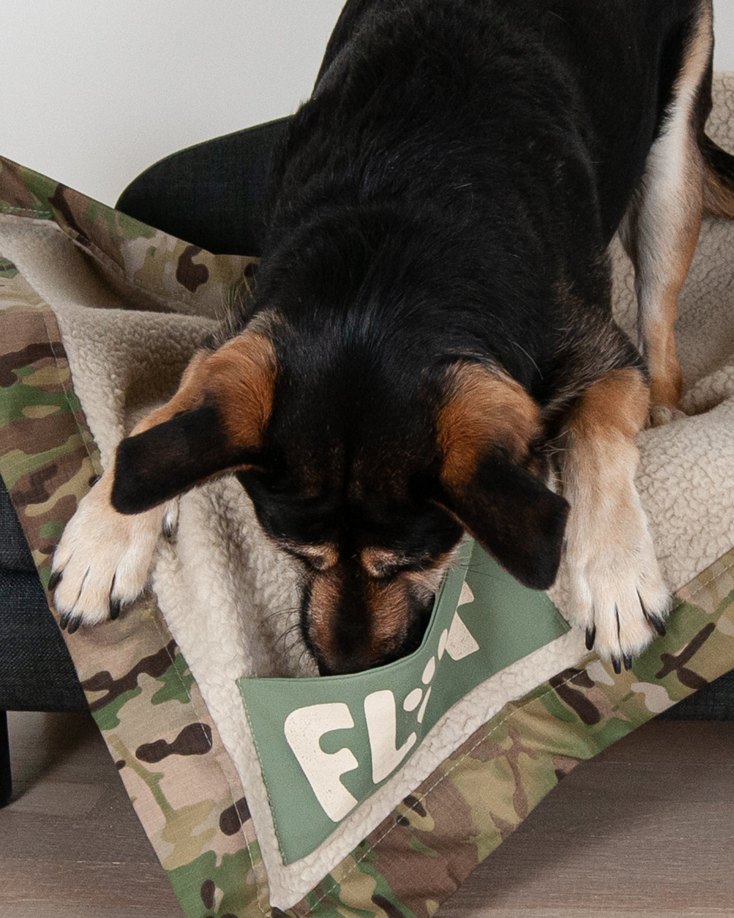 Camo Cutie Pet Blanket