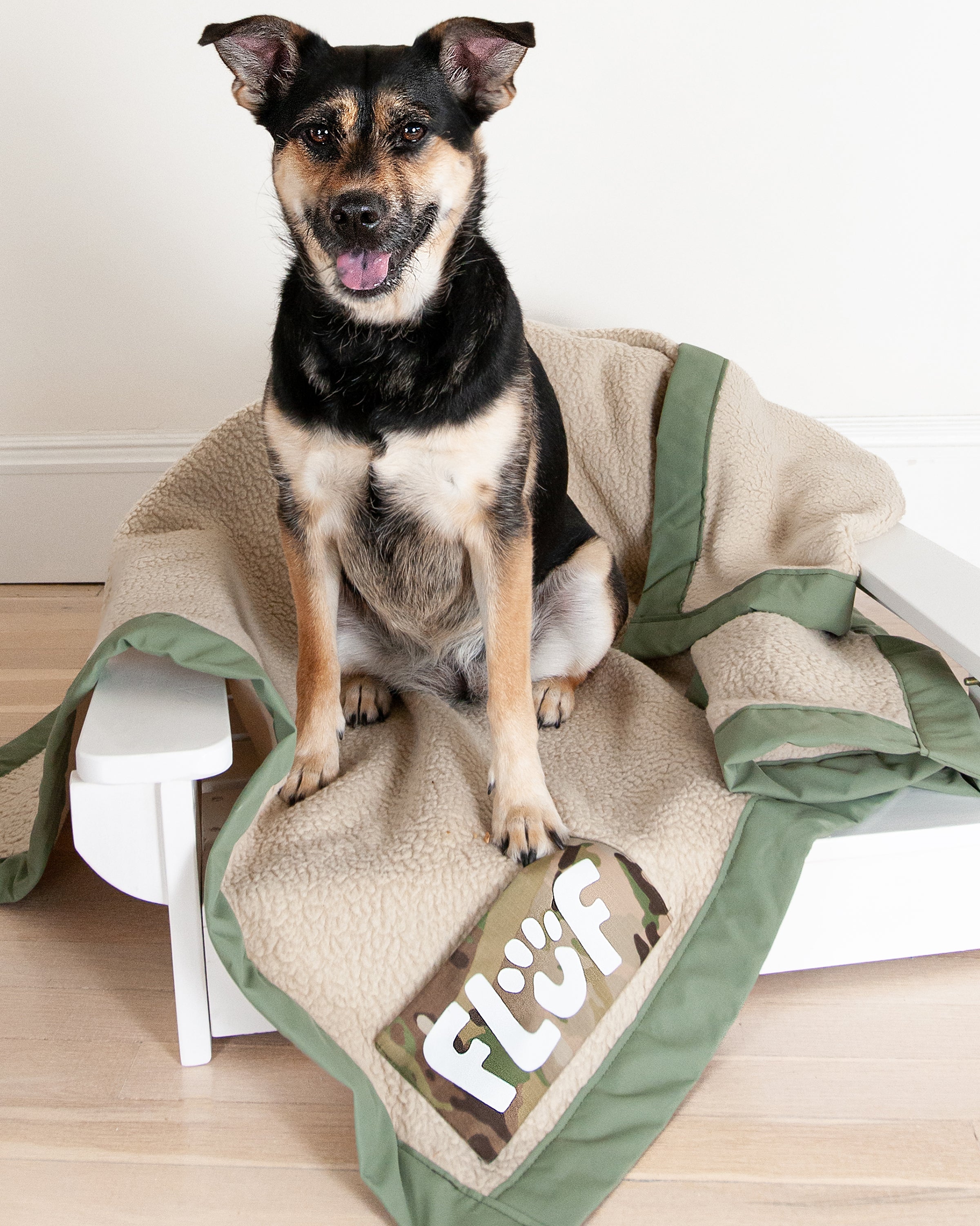 Green dog blanket best sale