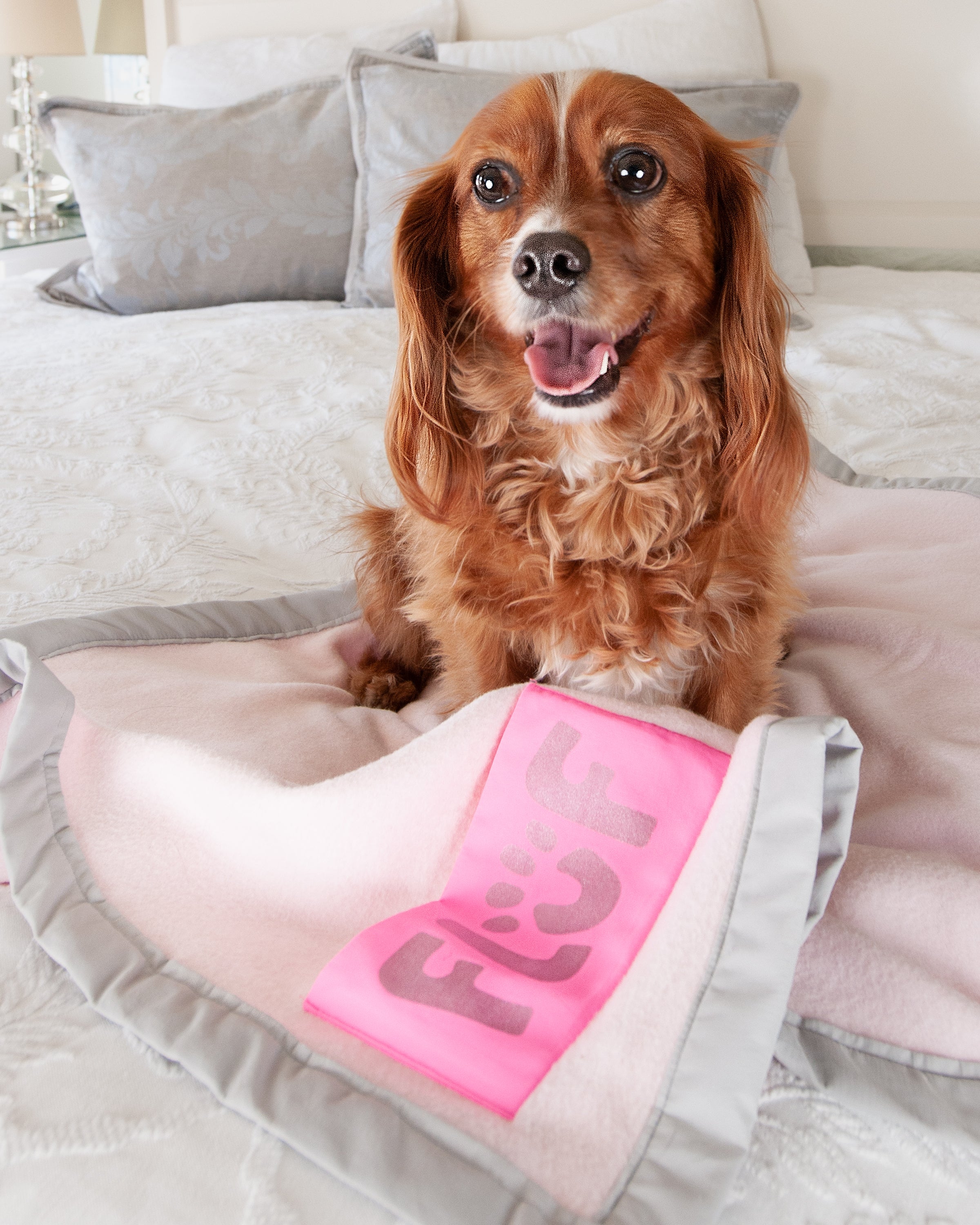 Pink discount dog blankets