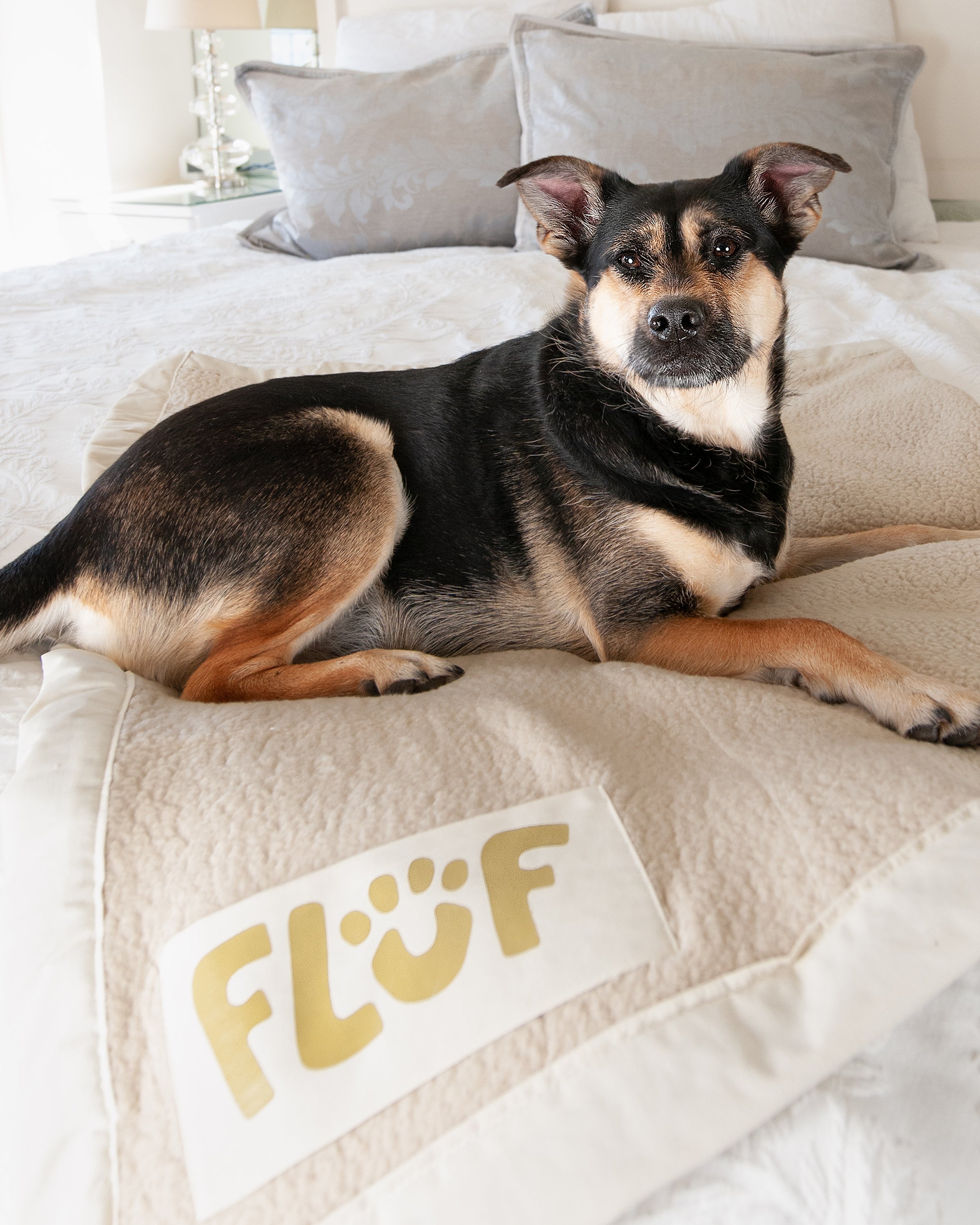 Beige Babe Pet Blanket Fluf Blankets