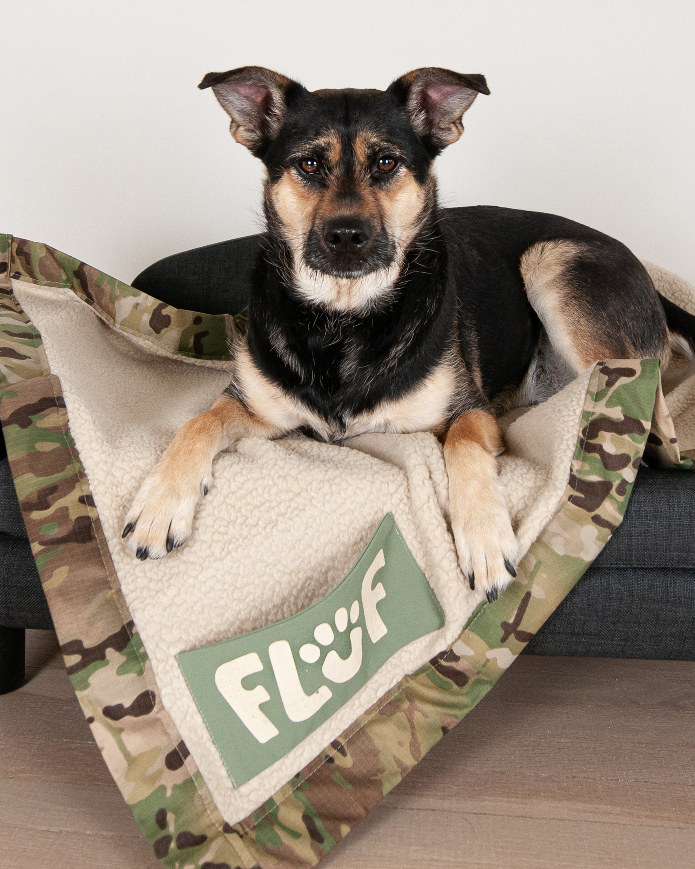 Camo Cutie Pet Blanket Fluf Blankets