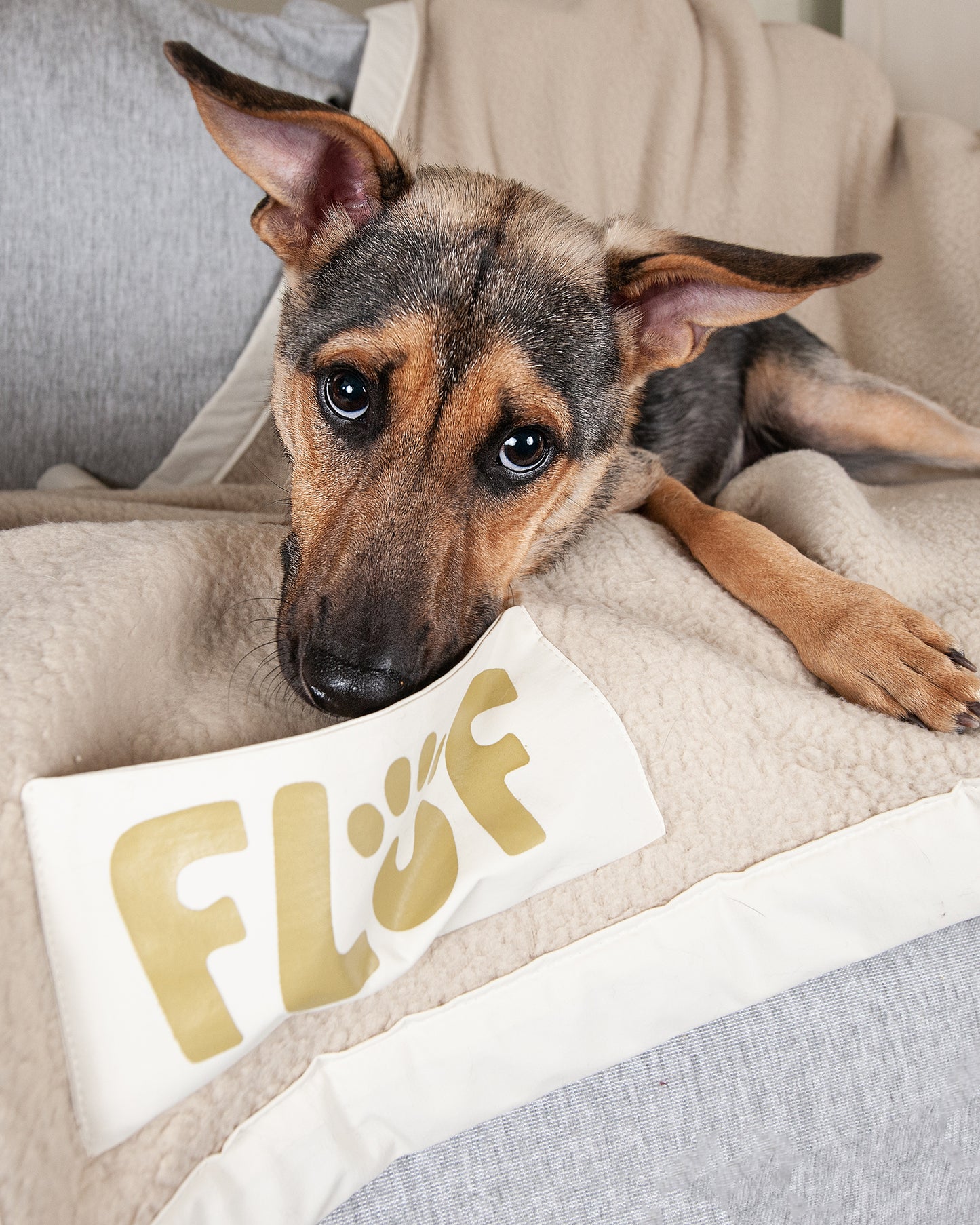 Beige Babe Pet Blanket